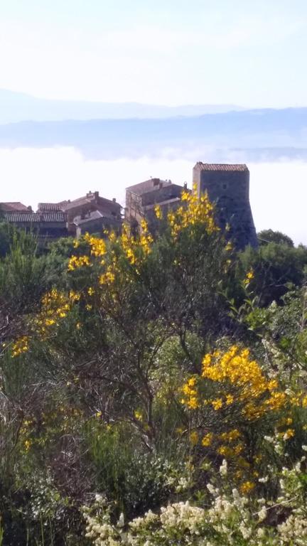 Apartment La Scala 1572 San Quirico dʼOrcia Zewnętrze zdjęcie